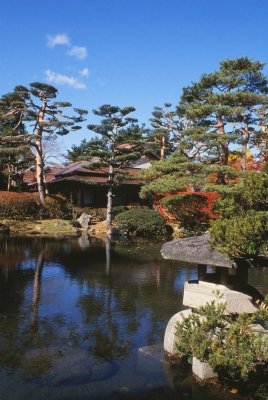 🏛️ 도리가타 회관 이미지 2